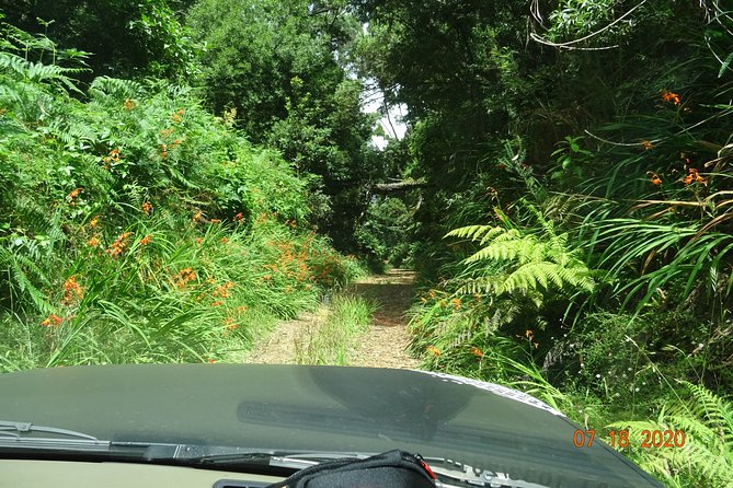 Private Full Day Off-Road Tour in Madeira - Comfort, safety, and the real meaning of off-road
