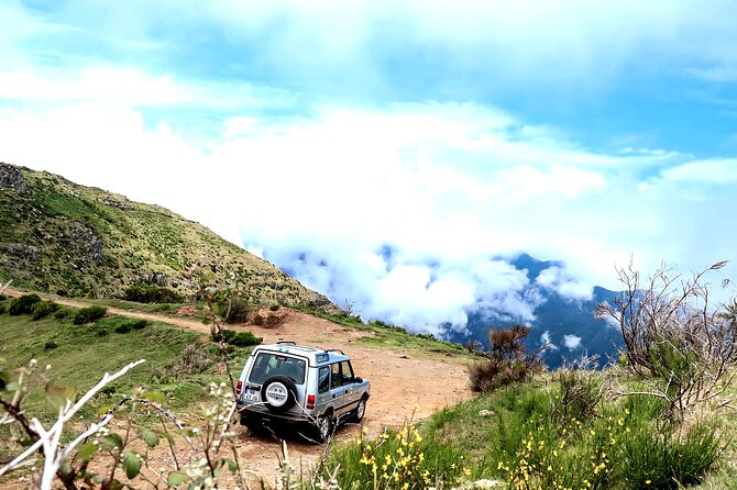 Private Full Day Tour by Jeep 4x4 West Side Madeira - Fanal Forest and its centuries-old trees