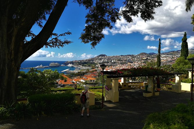 Private Funchal City Tour by Tukxi - Quinta das Cruzes and Funchal’s older side