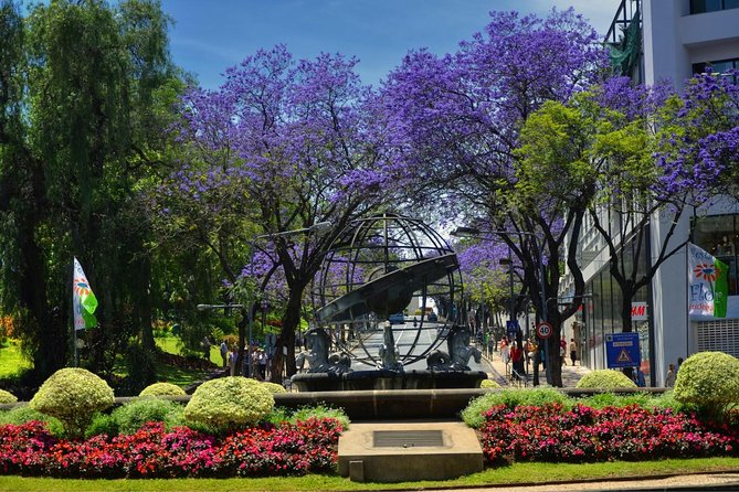 Private Funchal City Tour by Tukxi - Comfort, mobility, and family use