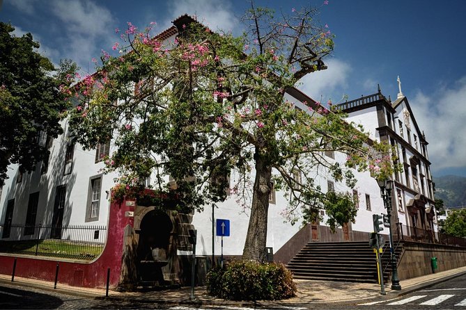 Private Funchal City Tour by Tukxi - Pickup from a hotel or cruise ship