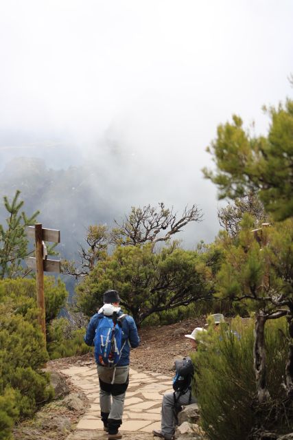 Private - Gastro Hike with Levada Walk and Local Food - Choosing between 3.5 and 5.5 kilometers