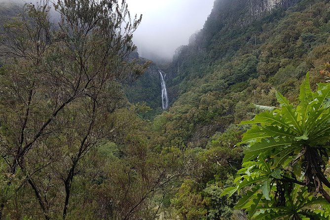 Private Guided Walk Levada 25 Fontes - What a private guide adds