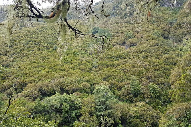 Private Guided Walk Levada 25 Fontes - Is $107.84 per person good value?