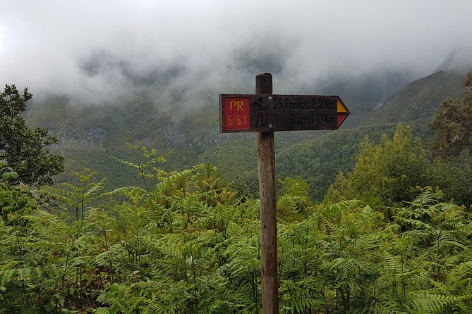 Private Guided Walk Levada 25 Fontes - Weather, clothing, and walking comfort