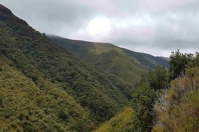 Private Guided Walk Levada 25 Fontes - Who will enjoy this Madeira experience most