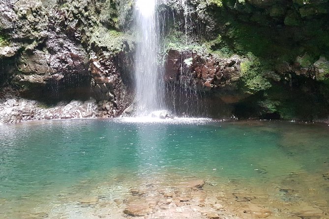 Private Guided Walk Levada Caldeirao Verde - From your door to the Queimadas area
