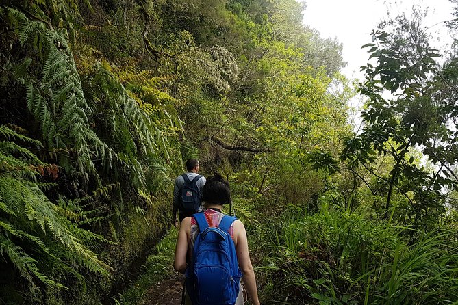 Private Guided Walk Levada Caldeirao Verde - How private guiding changes the experience