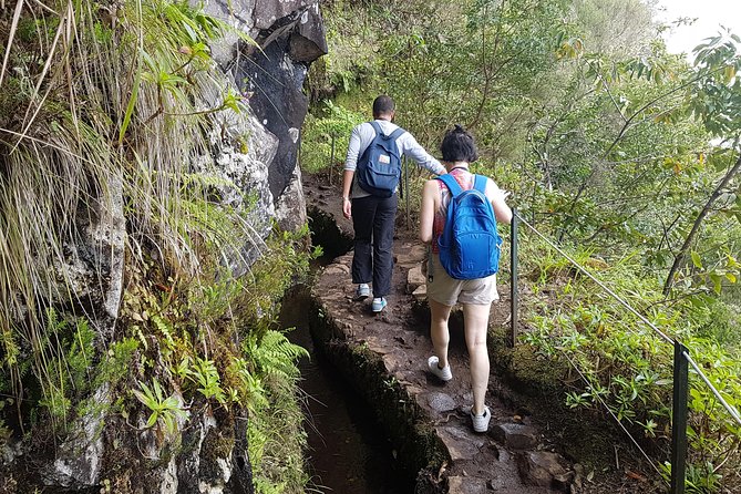 Private Guided Walk Levada Caldeirao Verde - Price, timing, and what you receive for $108.02