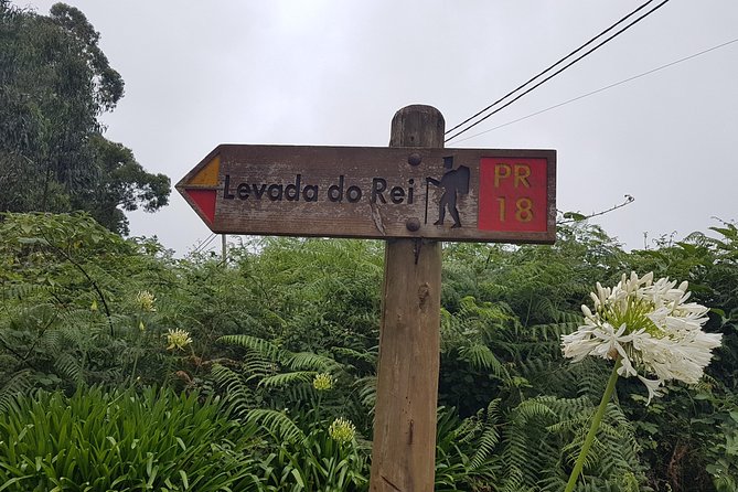 Private Guided Walk Levada do Rei - Pickup from Funchal or the cruise port