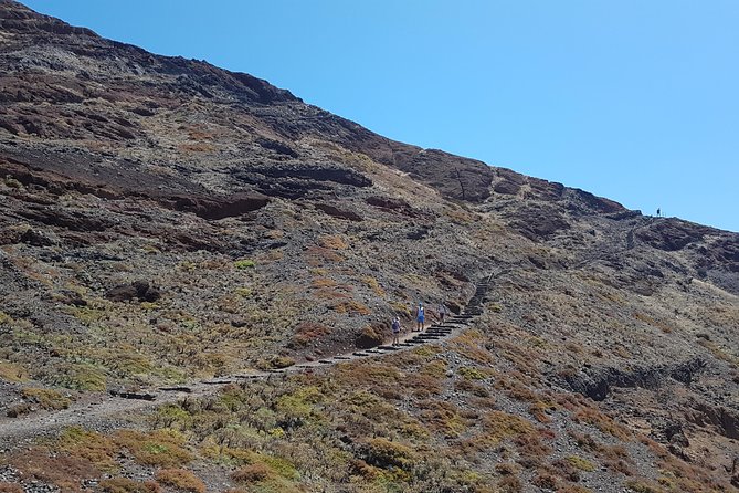 Private Guided Walk Ponta São Lourenço - Who will enjoy this private walk most?