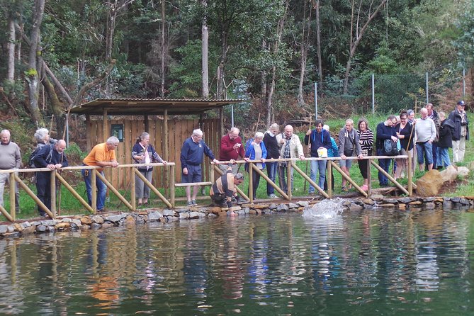Private Half-Day 4X4 Experience: East or West - Boca dos Namorados and Nun’s Valley