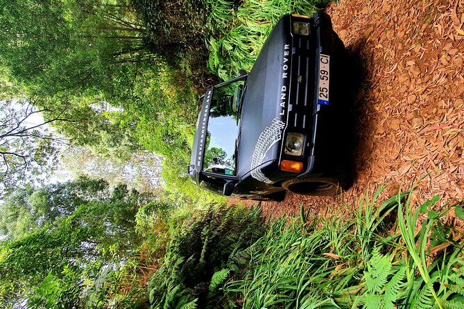 Private Half Day Off Road Tour in Madeira - What the off-road section is really like