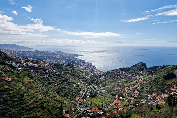 Private Half day tour (8 seat Mercedes Vito) - Monte and the wicker toboggan run