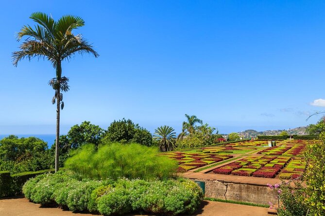 Private Half day tour around Madeira Island - Key points at a glance