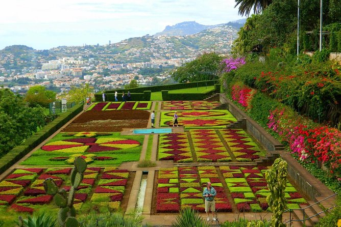 Private Half day tour around Madeira Island - Why this private Madeira tour works well