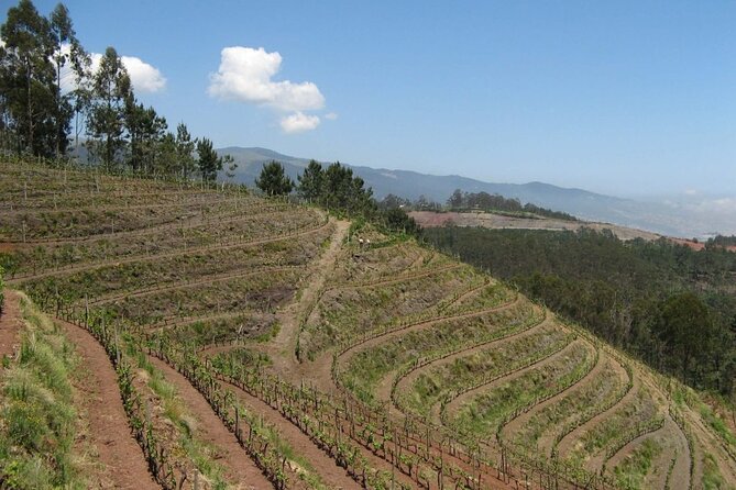 Private Half-Day Tour of Wine Fields in Portugal - The off-road ride and high viewpoints
