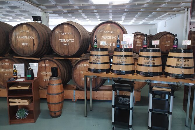 Private Half-Day Tour of Wine Fields in Portugal - Nature, local stories, and the value of a small group