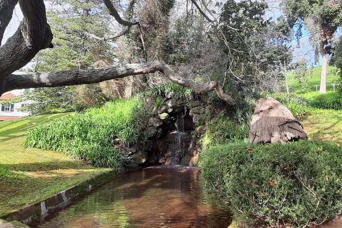 Private Halfday Flower Palheiro Gardens Tour - What to Expect Inside Palheiro