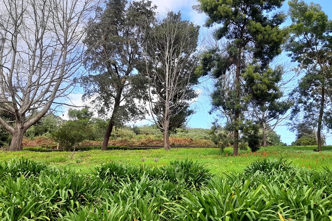 Private Halfday Flower Palheiro Gardens Tour - Guides, Pace, and Personal Attention