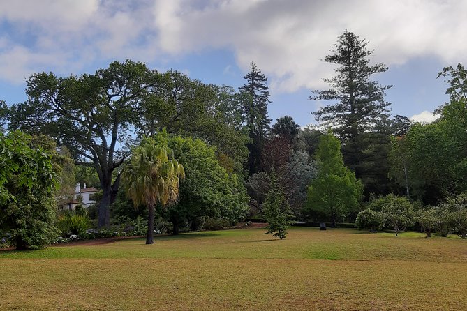 Private Halfday Flower Palheiro Gardens Tour - Who Should Book This Three-Hour Tour?
