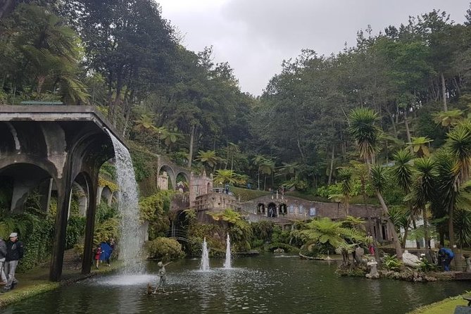 Private Halfday Madeira Garden Tour - Why Madeira’s gardens deserve half a day