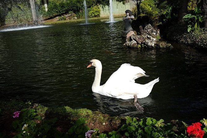 Private Halfday Madeira Garden Tour - What private transport changes