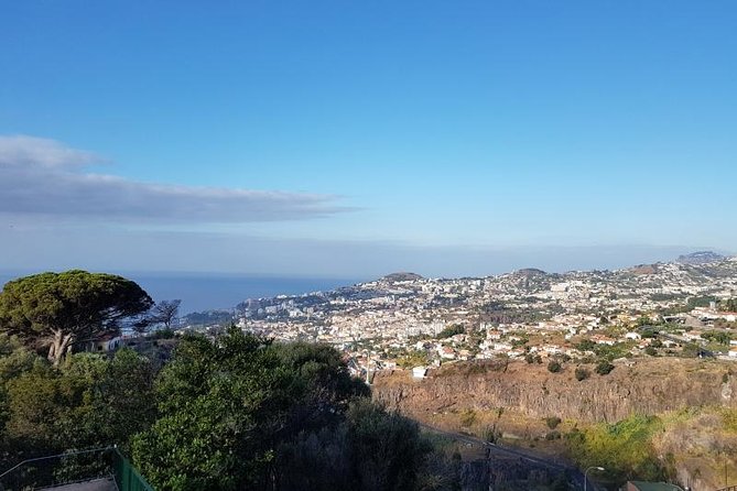 Private Halfday Madeira Garden Tour - Is $142.30 per person fair?