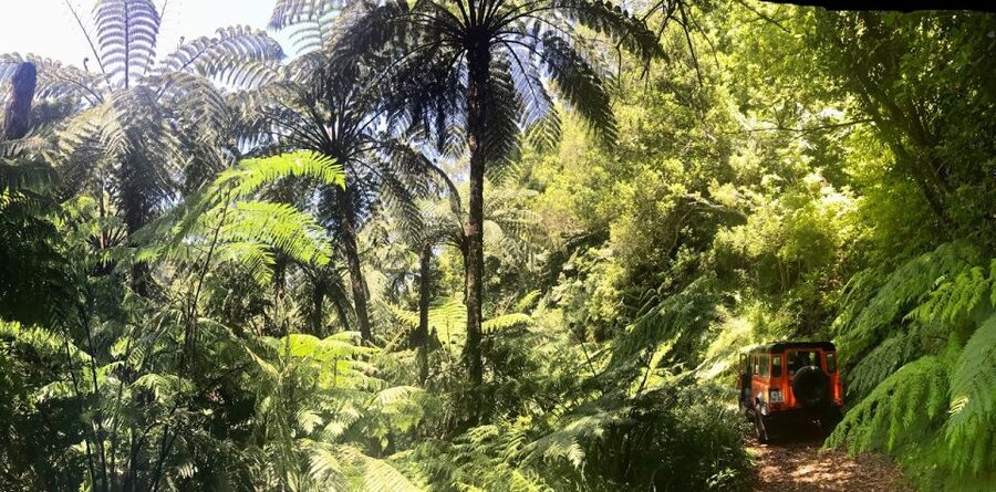 Private Jeep Tour Santana to East-Side - From Funchal to Pico do Arieiro above the clouds