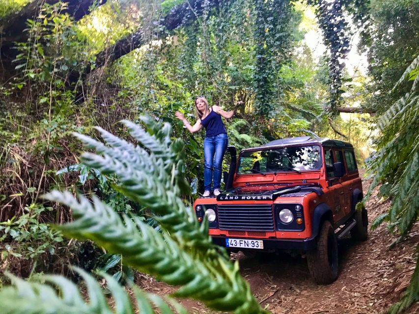 Private Jeep Tour West-Side Natural Pools - Seixal’s black-sand beach and roadside waterfalls