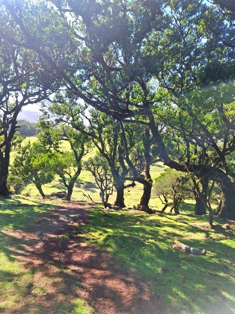 Private Madeira Highlights Full Day Tour - São Vicente is more than a tasting stop