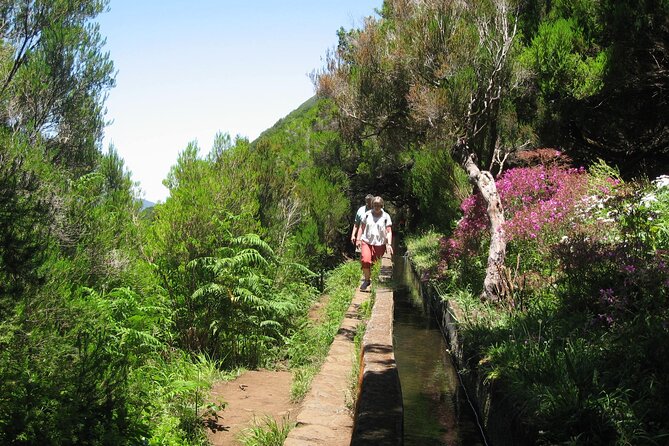 Private Madeira tour 8 people - Why a private Madeira day works so well