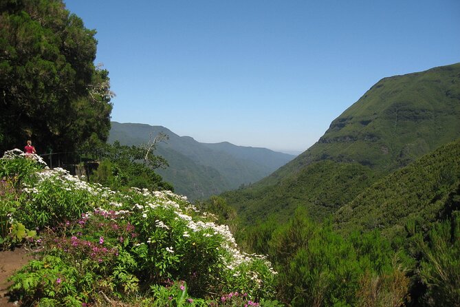 Private Madeira tour 8 people - Following the mountain road toward Santana