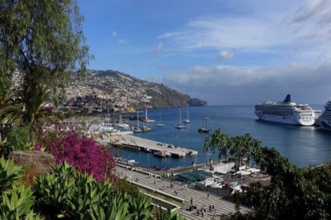 Private: Maderia Island Tour & Famous Monte Toboggan Ride - The Monte Toboggan, Madeira’s famous downhill ride