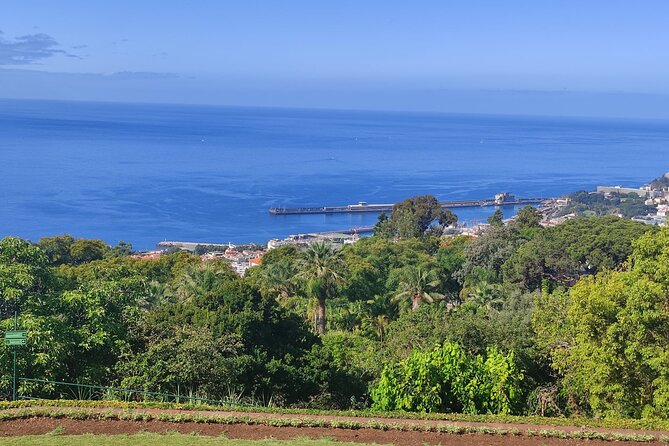Private Sidecar Tour – Downtown Funchal for 1 or 2 People - What the ride feels like for two people