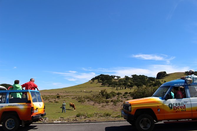 Private Small Group Full Day 4x4 Tour in Northwest Madeira - Ribeira da Janela and the northwest coast