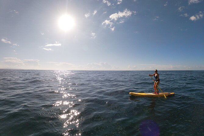 Private Stand Up Paddle Tour in Câmara de Lobos - Who will enjoy this 90-minute outing
