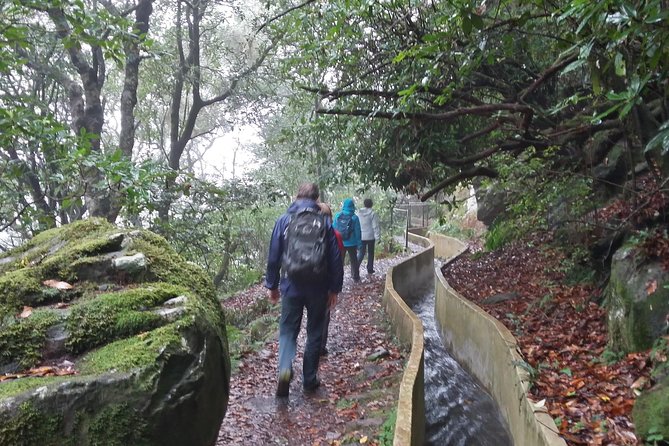 Private Sunrise Guided hike on Pico do Areeiro or other custom - What to pack for six to eight hours
