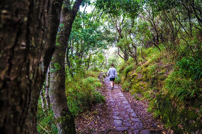 Private Sunrise Pico do Areeiro Half Day with easy levada walk - What makes Balcões de Ribeiro Frio worthwhile
