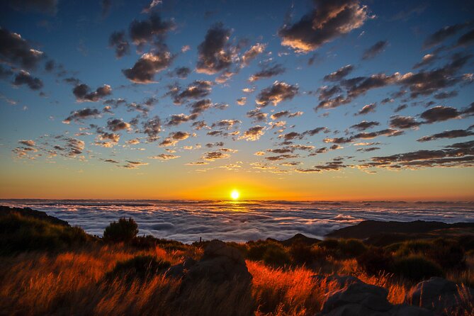 Private Sunrise Pico do Areeiro Half Day with easy levada walk - Price, pickup, and practical value