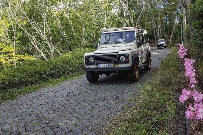 Private Tour: Nun's Valley & Sea Cliff - Half Day Jeep Tour - Cabo Girão brings the Atlantic into the picture