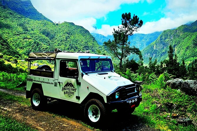Private Tour on Madeira Island (max 6 people) - Câmara de Lobos and the Churchill connection