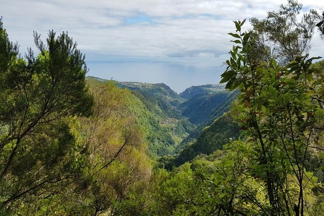 Private Tour The Biosphere Santana - What the guide adds to the experience