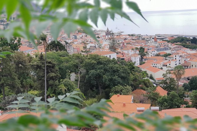 Private Tuk Tuk Tour to Old Town + Monte in Funchal - Our Lady of Monte and the church stop