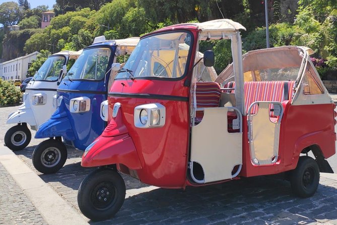 Private Tuk Tuk Tour to Old Town + Monte in Funchal - Timing, pickup, and cruise-day planning