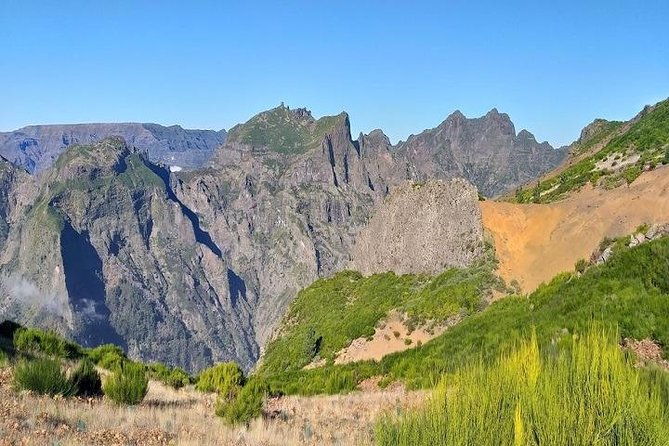 Private VipTours up to 4pax/8pax/19pax - Should you book this private Madeira tour?