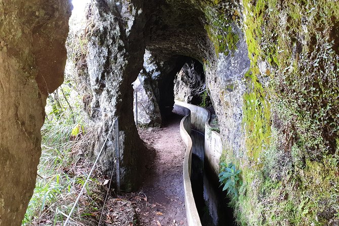 Queimadas-Caldeirão Verde - Why the Caldeirão Verde walk is worth your morning