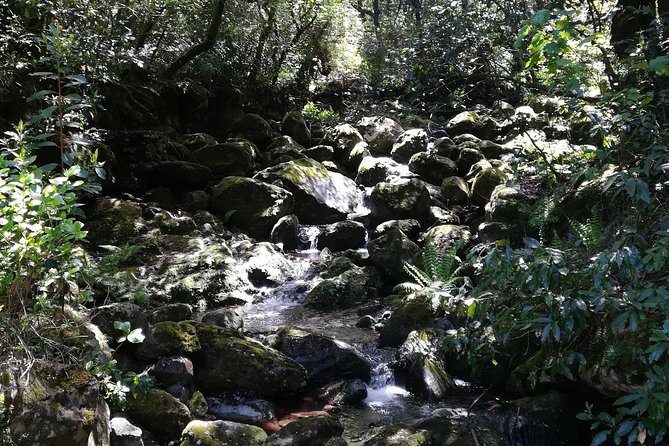 Queimadas-Caldeirão Verde - A group of no more than 16 people