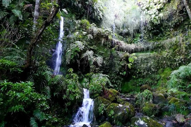 Queimadas-Caldeirão Verde - Weather, cancellation, and simple preparation