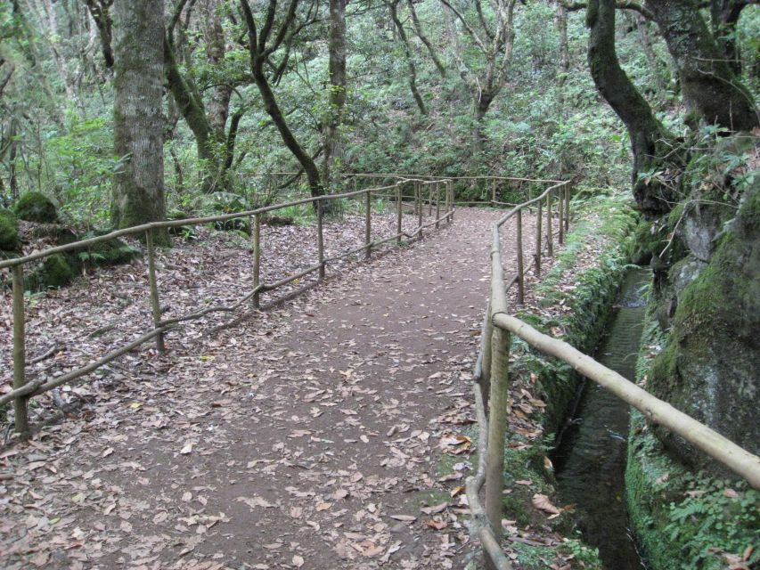 Queimadas Caldeirao Verde Full day hike - Four tunnels make this more than a forest walk
